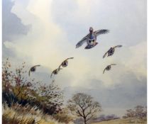 *JOHN PALEY EAGMA (CONTEMPORARY, BRITISH)  Partridge in Flight  watercolour, signed lower right  11