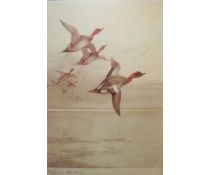 ARCHIBALD THORBURN (1860-1935, BRITISH)  Widgeon  coloured artist?s proof with publisher?s blind