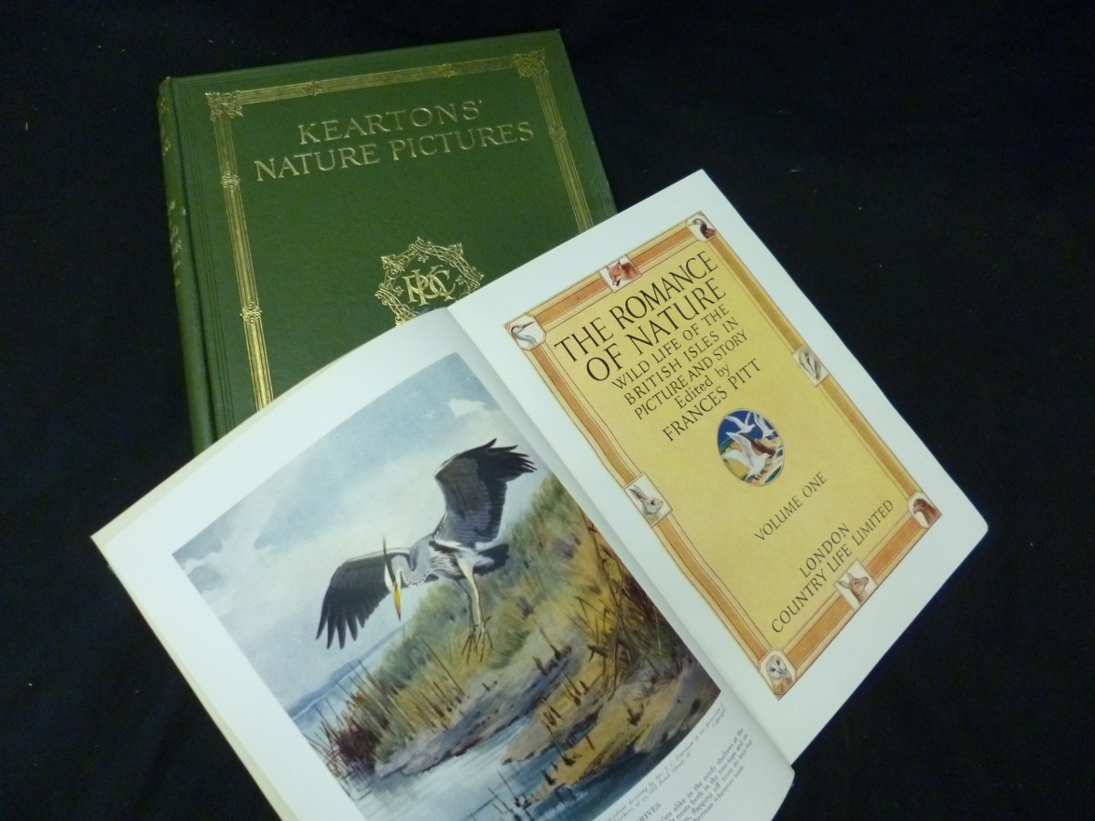 FRANCES PITT: THE ROMANCE OF NATURE ? WILDLIFE OF THE BRITISH ISLES IN PICTURE AND STORY, L,