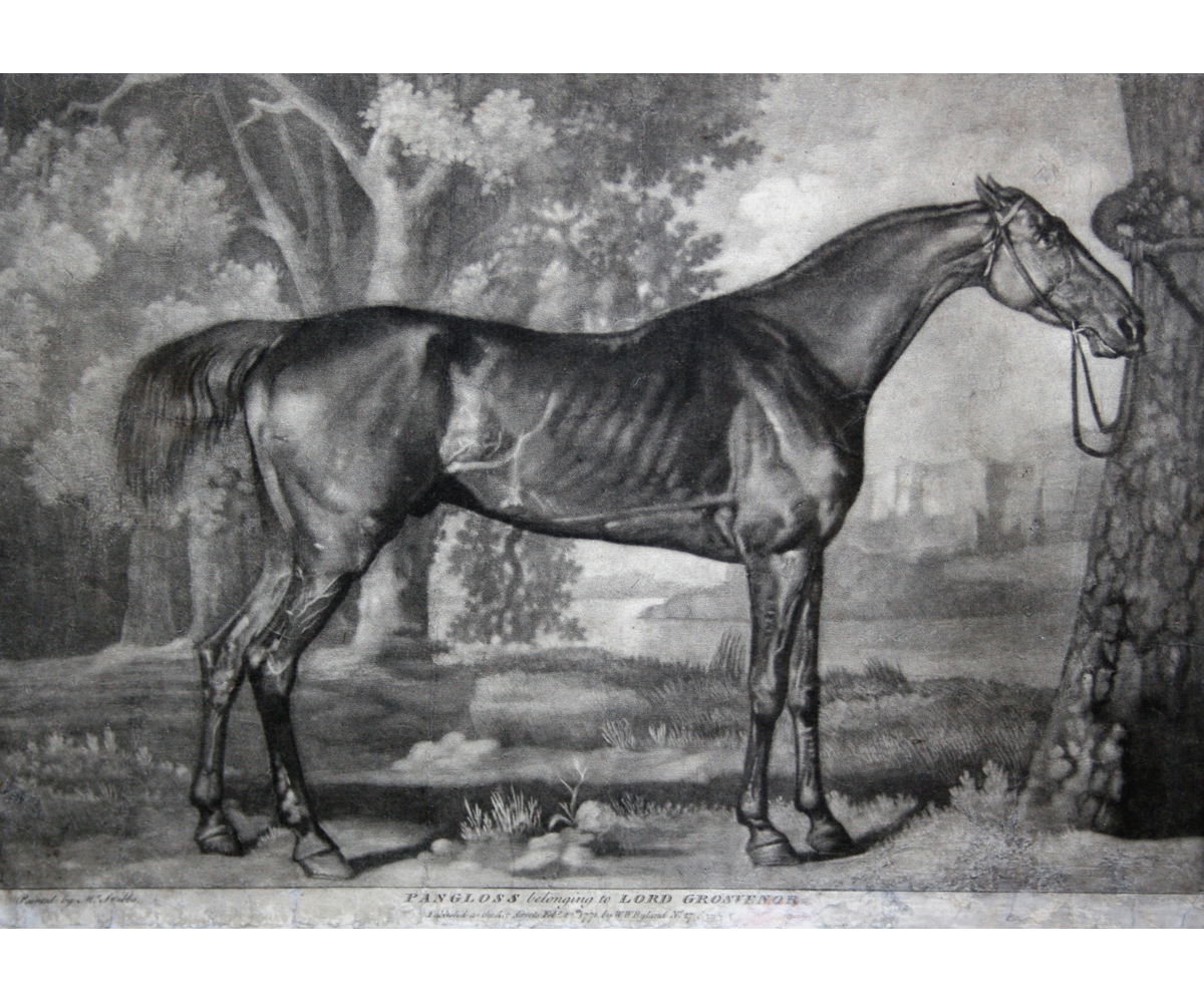 AFTER GEORGE STUBBS, ANTIQUE BLACK AND WHITE MEZZOTINT, PUBLISHED 1771, “Pangloss Belonging to