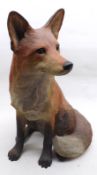 A Border Fine Arts Model, “Fox Sitting”, No A5891, 16” high