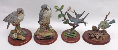 A collection of four Border Fine Arts Composition Models: Blue-Tit on fir cone; Swallow; Hobby;