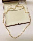 A Single Strand Cultured Pearl Necklace with yellow metal ball clasp, 64cm long, the pearls are