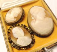 A group of three 20th Century gilt metal framed Shell Cameo Brooches of ladies, the largest 7cm x