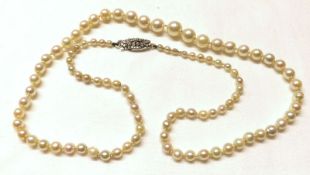 A graduated single strand of Cultured Pearls, the largest 7mm diameter, 49cm long and having a white
