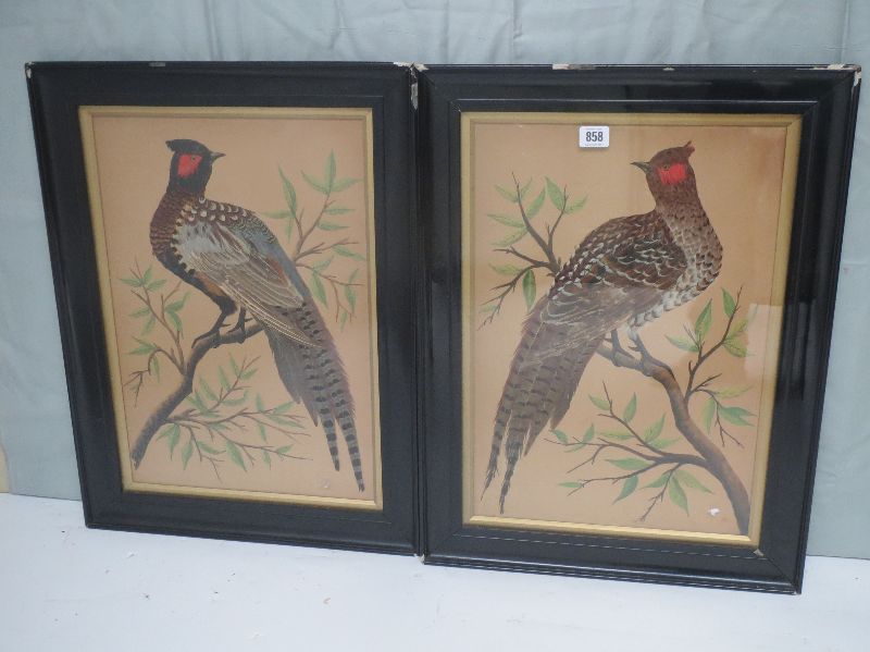 Pair of late C19/early C20 watercolour and pheasant feather montages `Cock & Hen Pheasant`, 48x33,