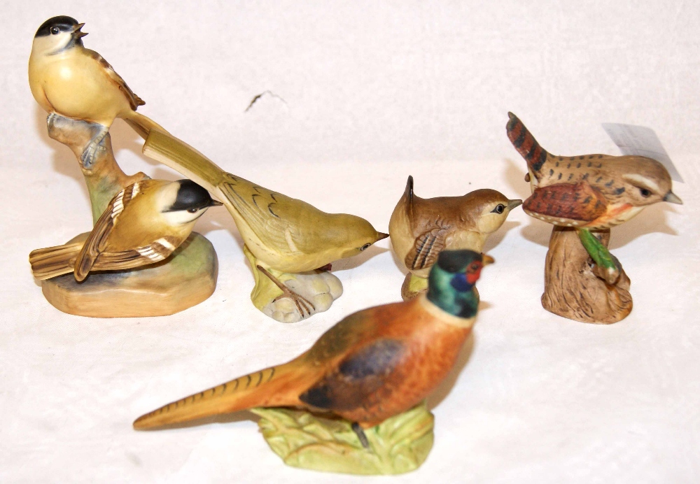 Selection of bisque ornamental birds, by Royal Worcester, Aynsley, etc.