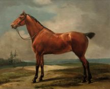 John Frederick Herring 1795 Surrey - 1865 Meopham Park Umkreis - Pferdeporträt - Öl/Lwd. Doubl. 32 x