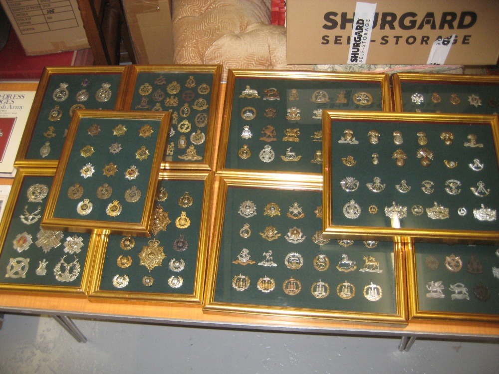 Extensive collection of 19th and 20th Century military badges housed mainly in ten gilt frames