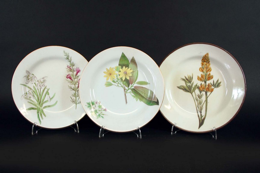 THREE CREAMWARE BOTANICAL PLATES largest 8 1/2ins.(21.5cms.) dia.Condition reports are available via