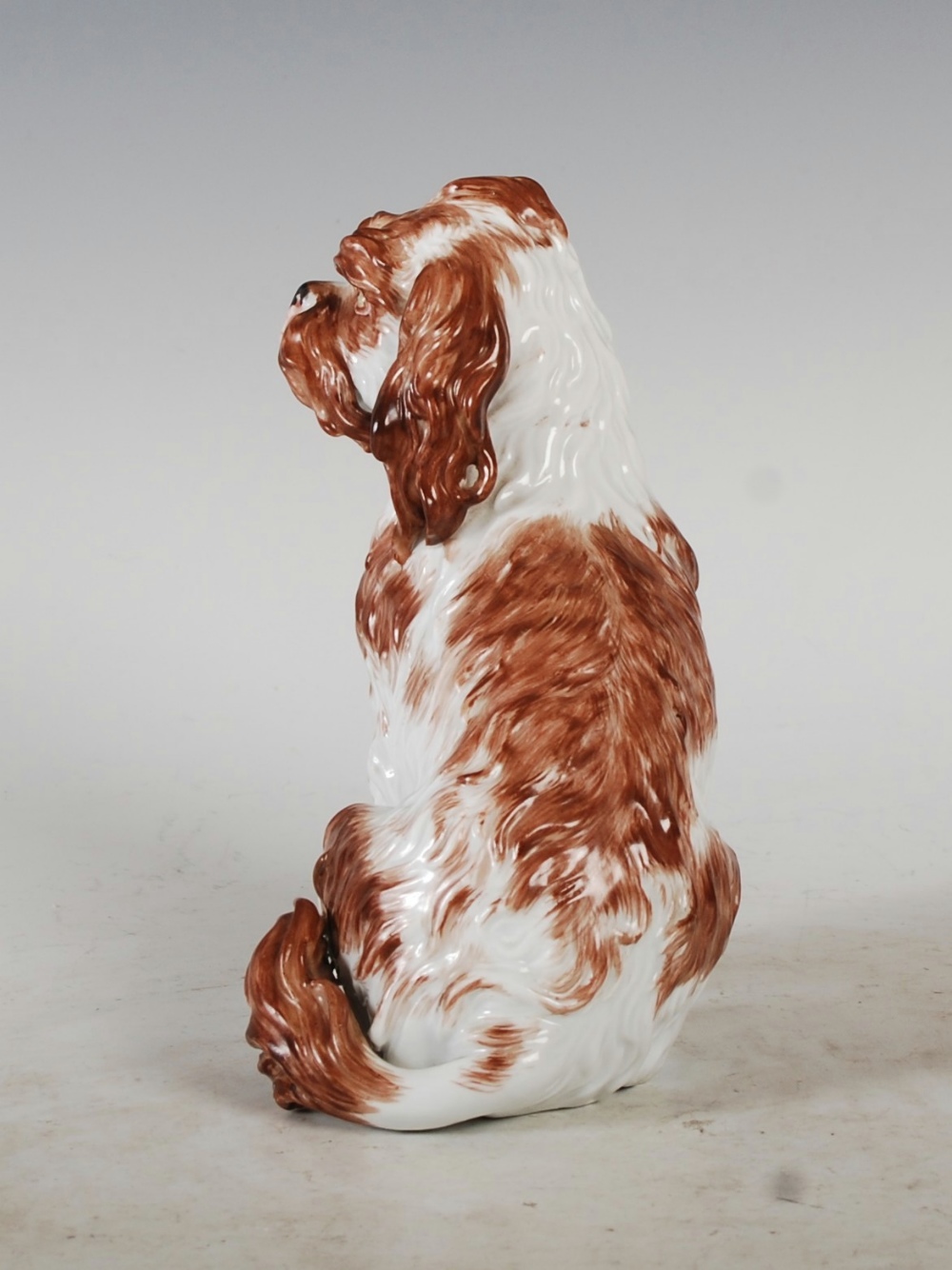 A Meissen porcelain figure of a Bolognese Spaniel, seated with brown coloured markings, blue - Image 2 of 7