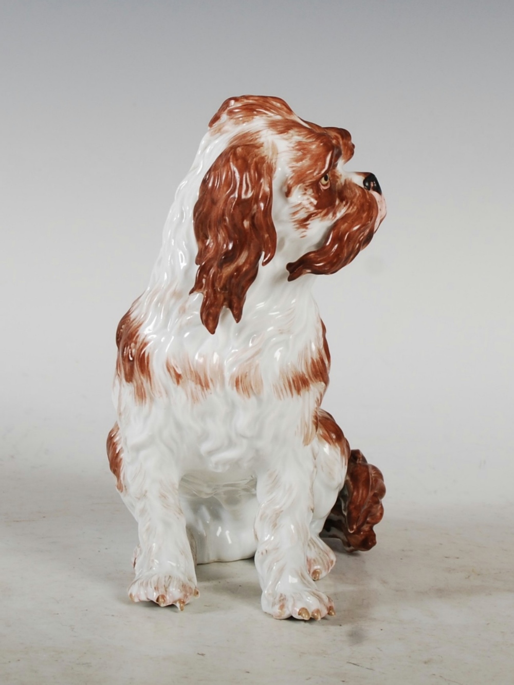 A Meissen porcelain figure of a Bolognese Spaniel, seated with brown coloured markings, blue - Image 4 of 7