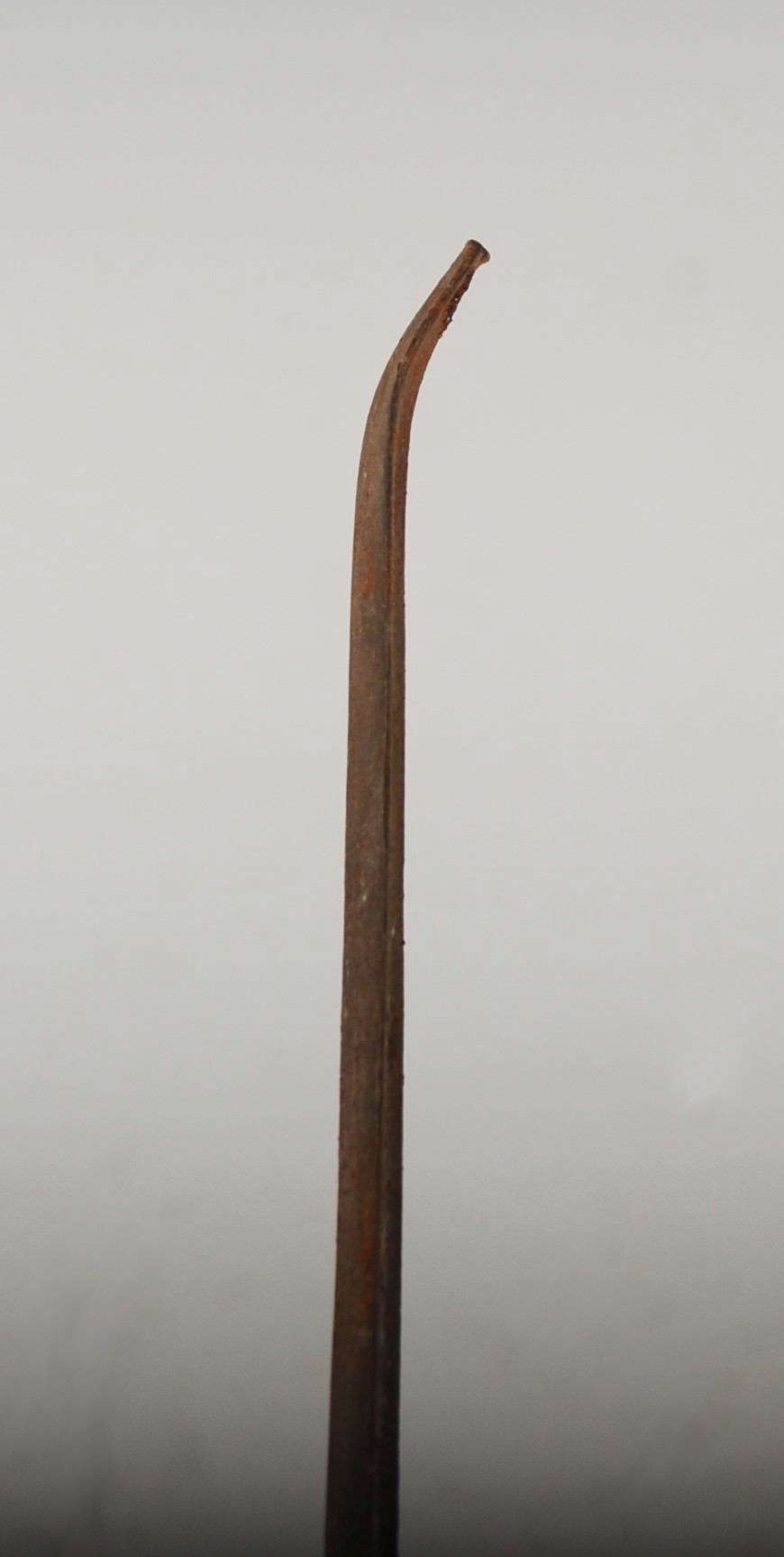 A late 19th century African Tribal spear, with a long tapered double edged blade, woven binding and - Image 5 of 6