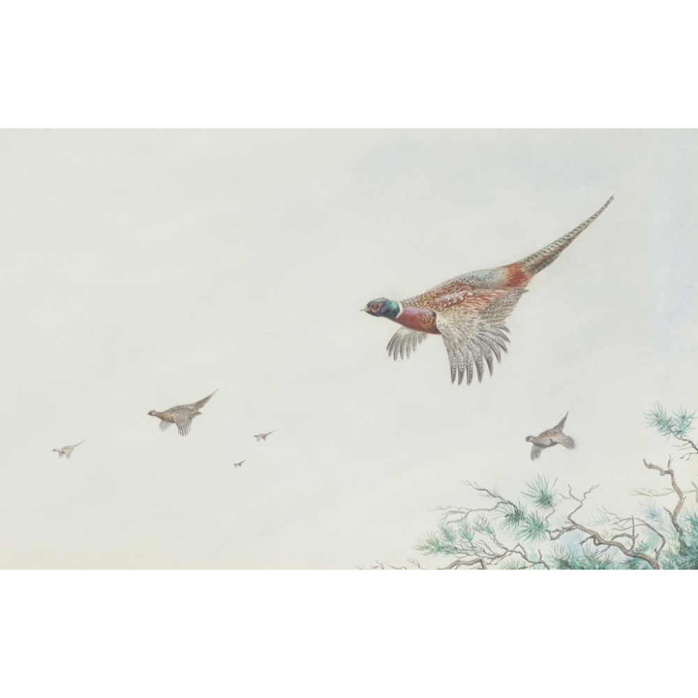 § VINCENT BALFOUR-BROWNE (SCOTTISH 1880-1963)PHEASANT IN FLIGHTSigned with initials and dated 1906,