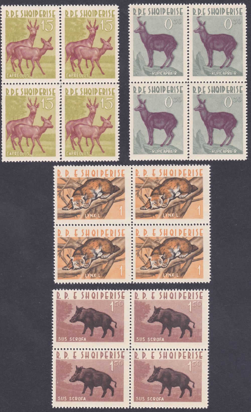 ALBANIA STAMPS : 1962 Animals set in U/M blocks of four, SG 724-7. Cat £100