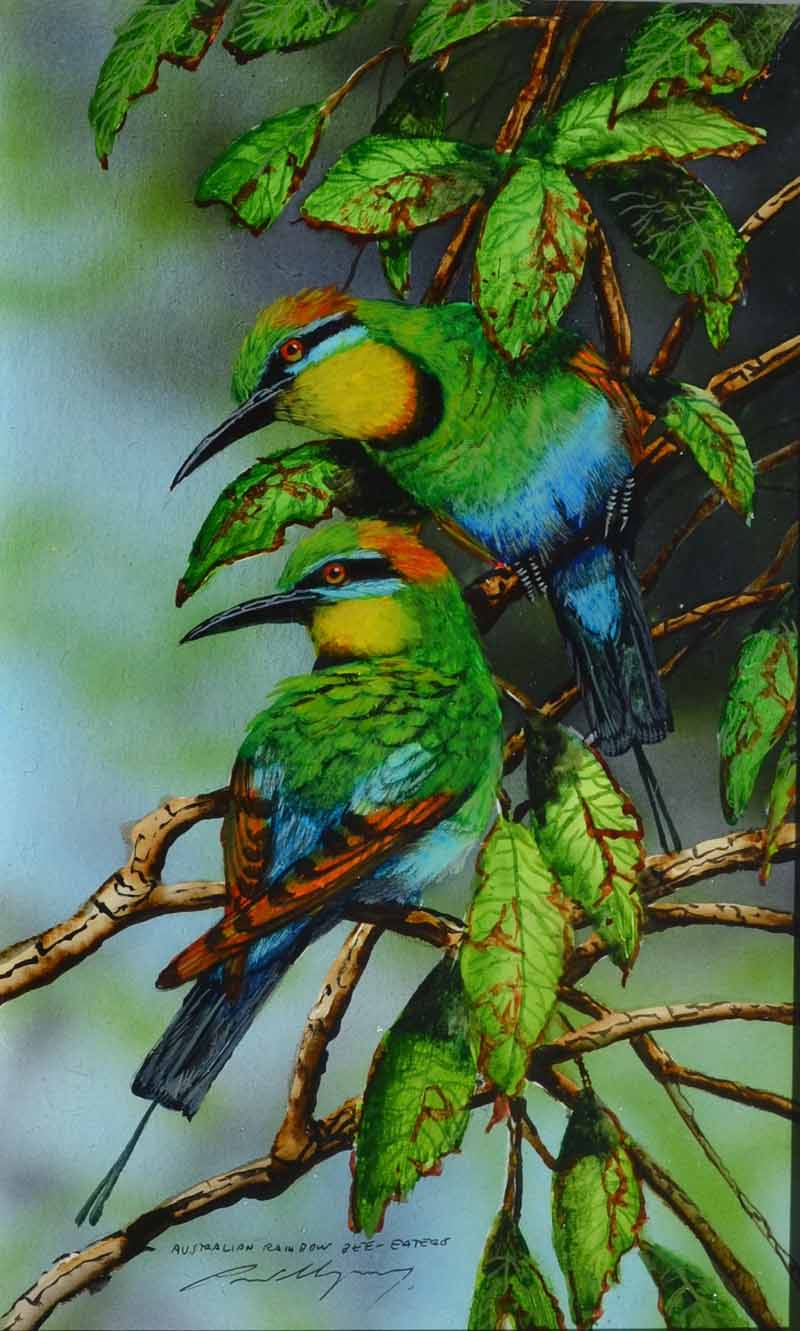 Paul Margocsy b.1945 Australian Rainbow Bee-eaters Watercolour, gouache and varnish Signed lower