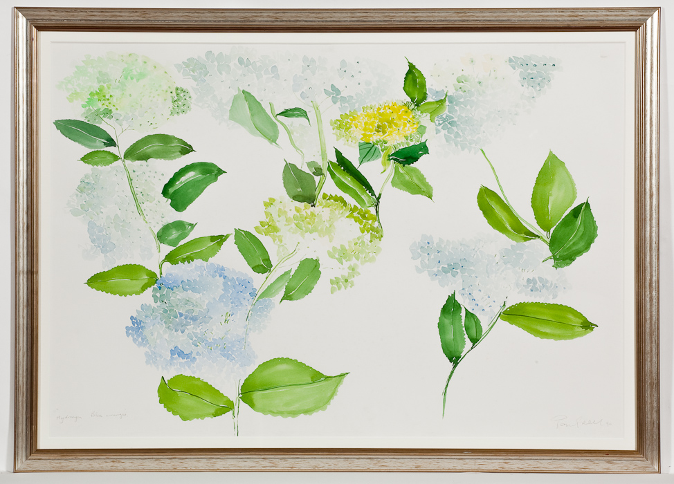 * PAUL GELL (BRITISH 1919 - 1996), HYDRANGEA BLUE EMERGES watercolour on paper, signed, titled and