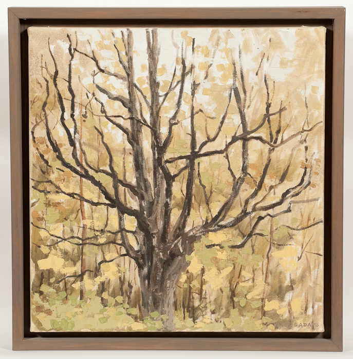 * PETER G ADAMS, IRONWOOD oil on canvas, signed, dated 2000 verso 53cm x 51cm Framed