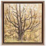 * PETER G ADAMS, IRONWOOD oil on canvas, signed, dated 2000 verso 53cm x 51cm Framed