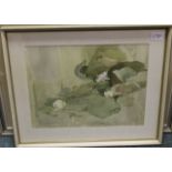 BERYL FENTON, WATER LILLIES watercolour on paper 48cm x 38cm Mounted, framed and under glass
