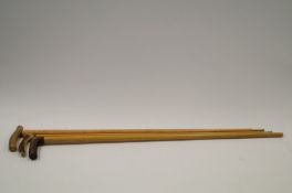 A set of three horn handled walking sticks