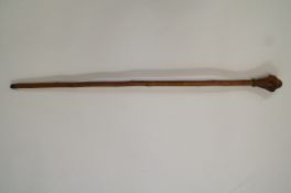 A walking cane with "knobbly" top