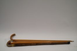A set of four walking sticks