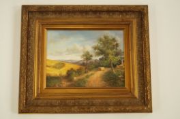 A pair of 20th Century decorative gilt framed oil on boards