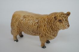 A Beswick silver Dunn Galloway Bull.  Fawn gloss model no 47, minor chip to the foot