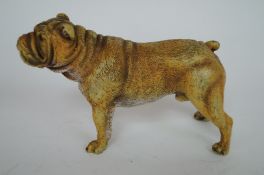 A bronze figure of a bulldog applied plaque "Geschutzt 8412"