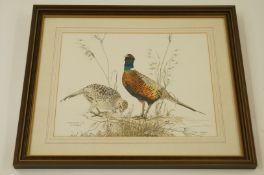 A picture of pheasant