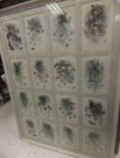 Two framed and glazed sets of 16 butterfly prints,and a set of six limited edition prints of fruit