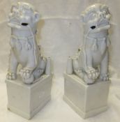 A pair of Chinese porcelain blanc-de-chine dog of fo figures, raised on rectangular plinth bases