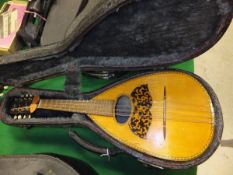 A mandolin, housed in a black carrying case