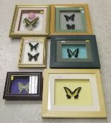 A collection of six various framed and glazed displays of Butterflies   CONDITION REPORTS  Overall
