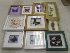 A collection of ten framed and glazed displays of various Insects, Butterflies, etc.   CONDITION
