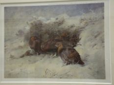 AFTER ARCHIBALD THORBURN "Partridges on moorland" and "Partridges in snow", pair of coloured prints,