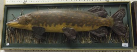 A pike cast set on a painted display board