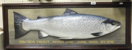 A carved and painted wood Sea Trout cast set on a black board with picture frame mount inscribed "16