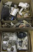 Two boxes of various fossils and mineral samples, etc.   CONDITION REPORTS  Almost all appear to