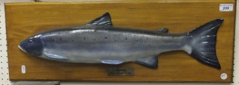 A salmon cast set on a wooden plaque, bears label inscribed "S. Harris River Spey 6 1/2lbs"