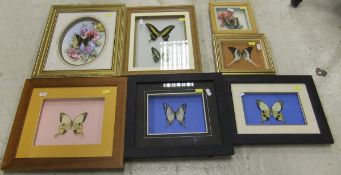 A collection of seven various framed and glazed Butterflies and Moths   CONDITION REPORTS  All
