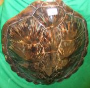A Green Turtle shell carapace (Licence No 518428/01)   CONDITION REPORTS  Length approx. 59 cm,