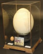 An Elephant Bird (Aepyornis Maximus) egg in a five sided glazed display case (egg restored)