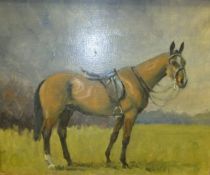 ENGLISH SCHOOL "Saddled horse", oil on canvas, unsigned