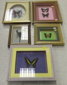 A collection of five various framed and glazed displays of Butterflies and Insects   CONDITION
