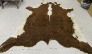 A brown and white cow hide