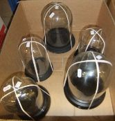 A collection of five various display domes   CONDITION REPORTS  Height range from approx. 26 cm high