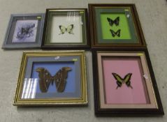 A collection of five various framed and glazed displays of Butterflies   CONDITION REPORTS  All with