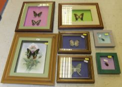 A collection of seven various framed and glazed displays of Butterflies and Insects   CONDITION
